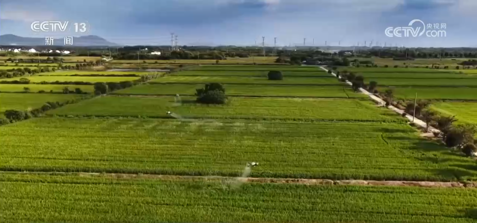围绕8868体育平台，8868持续打磨更优质的服务。 - 8868